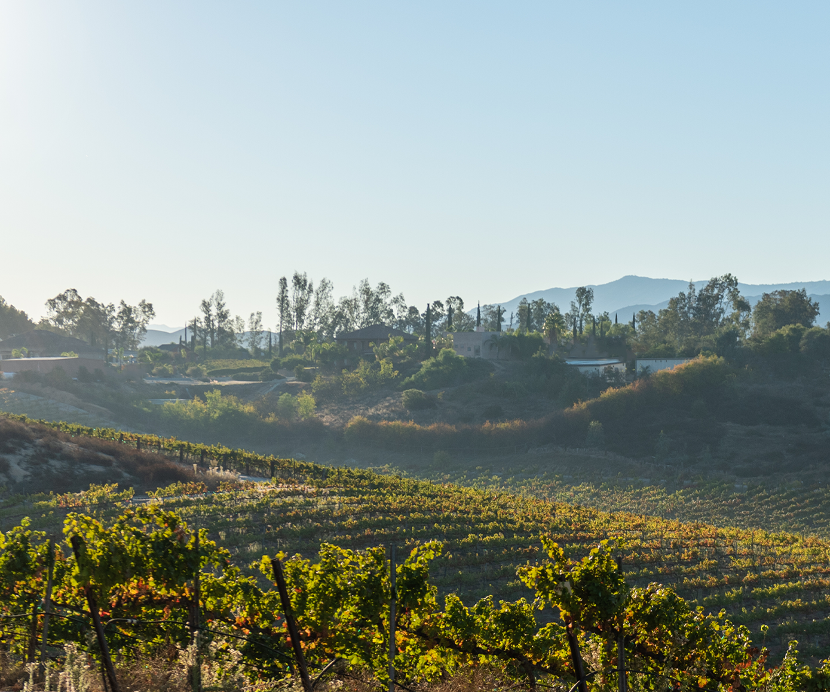 Bel Vino Winery by Wedgewood Weddings