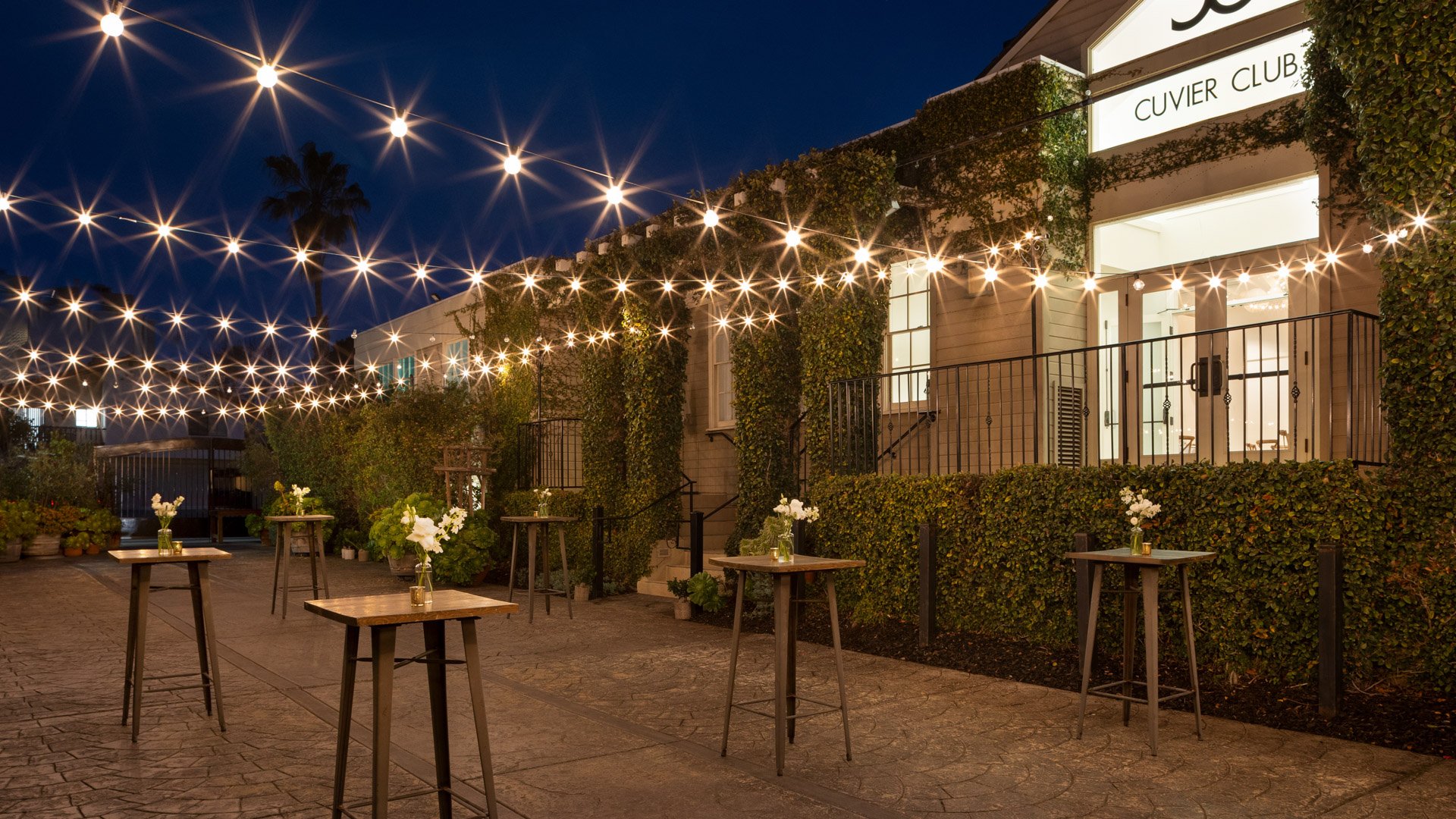 Magical evening atmosphere at Cuvier Club by Wedgewood Weddings with Garden Courtyard cocktail setup, bistro string lights, ivy-covered building, and high-top tables in La Jolla