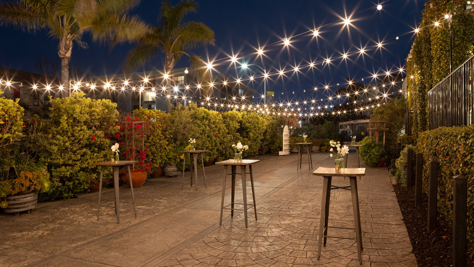 Romantic evening atmosphere in the Garden Courtyard at Cuvier Club by Wedgewood Weddings with bistro lights, cocktail tables, and lush tropical gardens in La Jolla