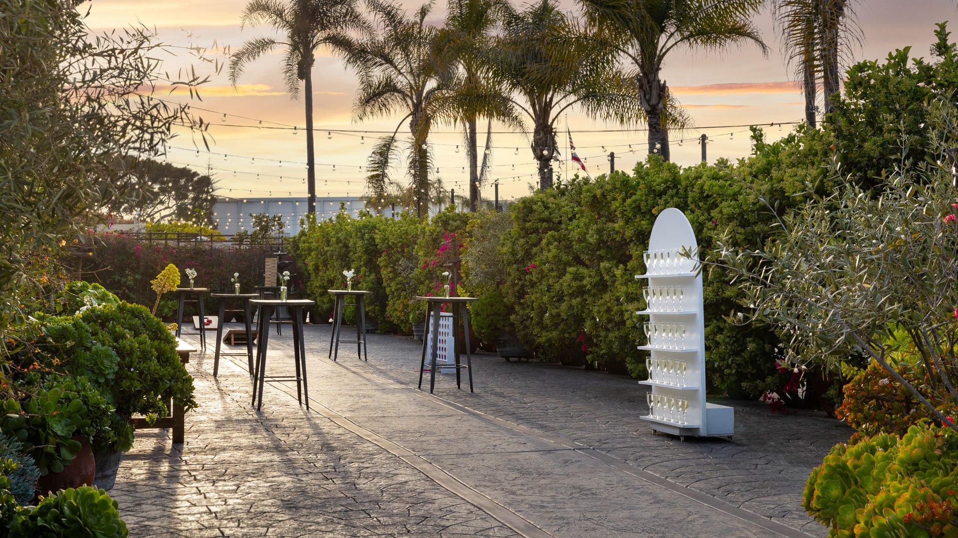 Golden hour cocktail reception in the Garden Courtyard at Cuvier Club La Jolla with champagne wall display, high-top tables, palm trees, and ocean sunset views