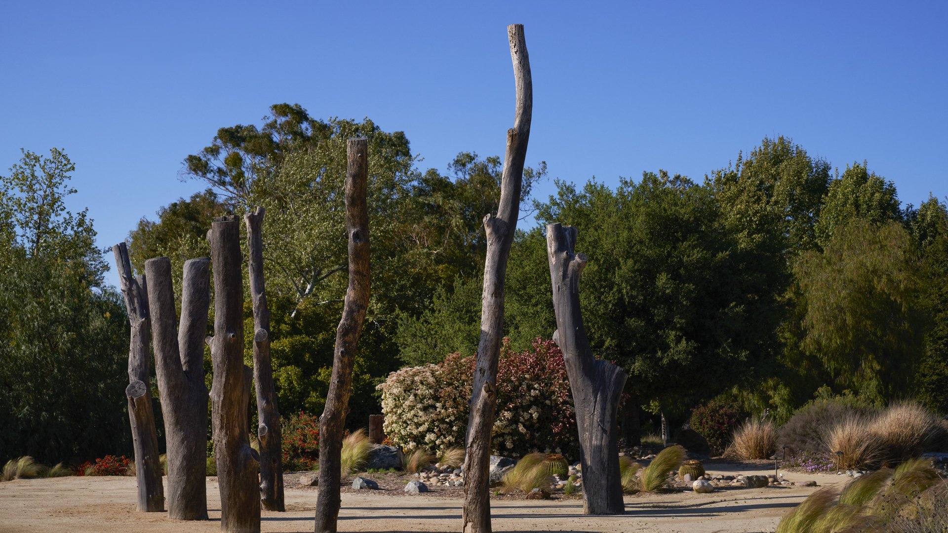 Distinctive artistic garden feature at Galway Downs with weathered wood sculptures, desert landscaping, ornamental grasses, and colorful flowering plants creating unique photo opportunities in Temecula
