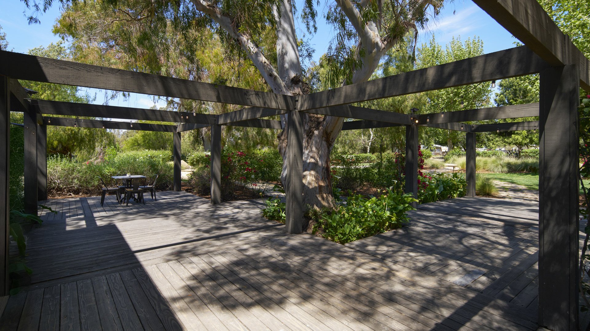 Unique elevated wooden deck ceremony space at Galway Downs with modern pergola structure, string lighting, and garden landscaping creating an intimate outdoor wedding setting in Temecula wine country