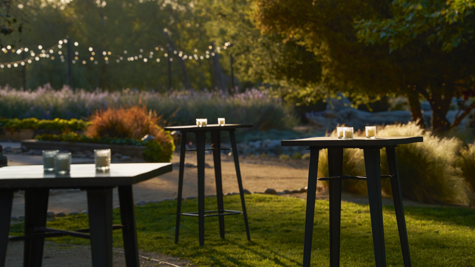 Elegant outdoor cocktail hour setup at Galway Downs with modern high-top tables, string lighting, ornamental grasses, and golden hour ambiance ideal for wedding receptions in Temecula, California