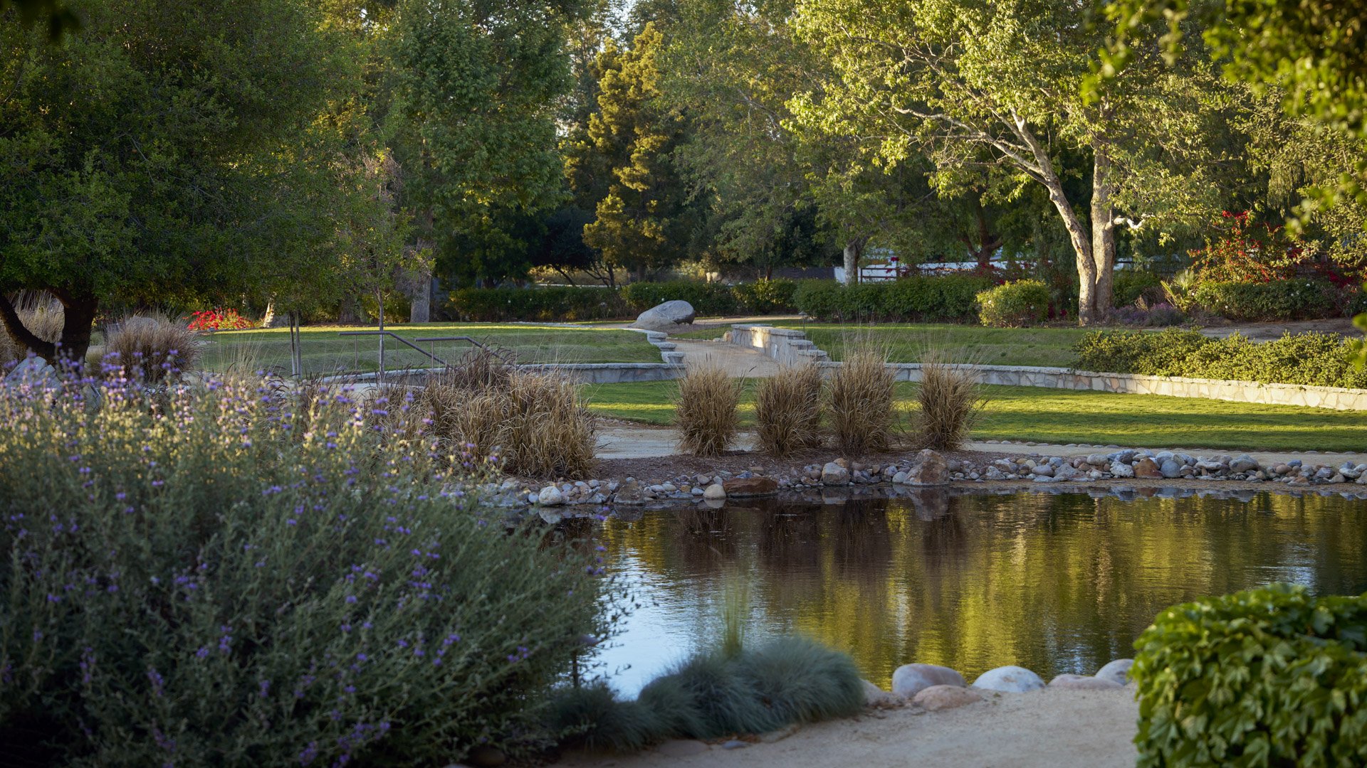 Peaceful water feature at Galway Downs wedding venue with purple wildflowers, ornamental grasses, stone pathways, and mature trees creating a serene garden setting in Temecula, California