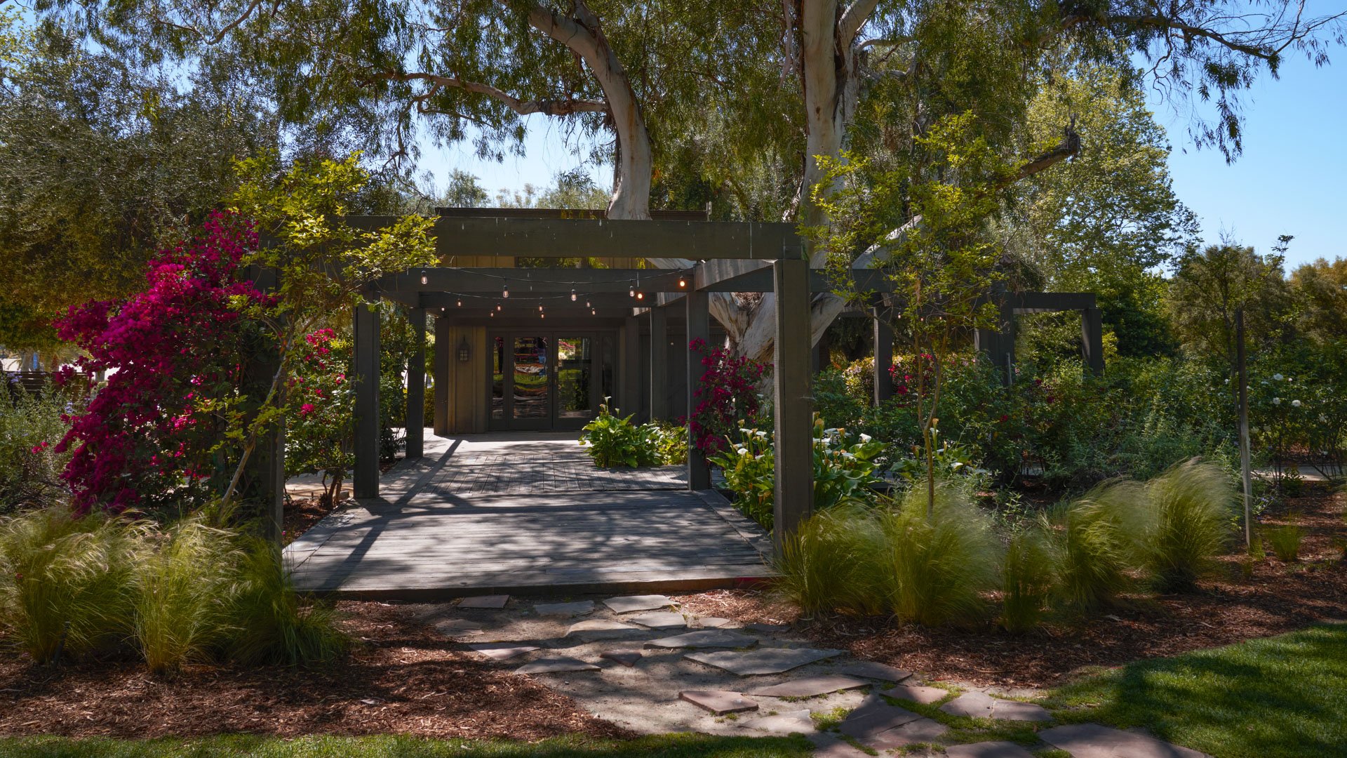 Beautiful garden entrance at Galway Downs featuring a modern pergola walkway, vibrant bougainvillea, ornamental grasses, and stone pathways leading to wedding suite space in Temecula