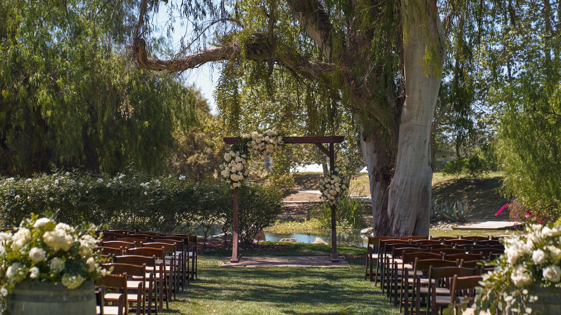 Elegant outdoor wedding ceremony setup at The Meadows, Galway Downs featuring rustic wooden chairs, white floral arrangements, and a romantic arch under majestic willow trees in Temecula, California