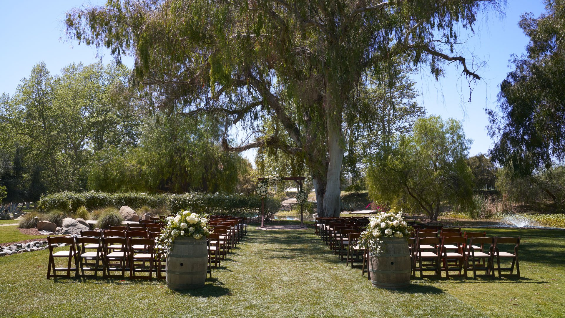 Picturesque wedding ceremony aisle at The Meadows, Galway Downs with wooden cross-back chairs, wine barrel floral displays, and natural willow tree canopy in Temecula, California