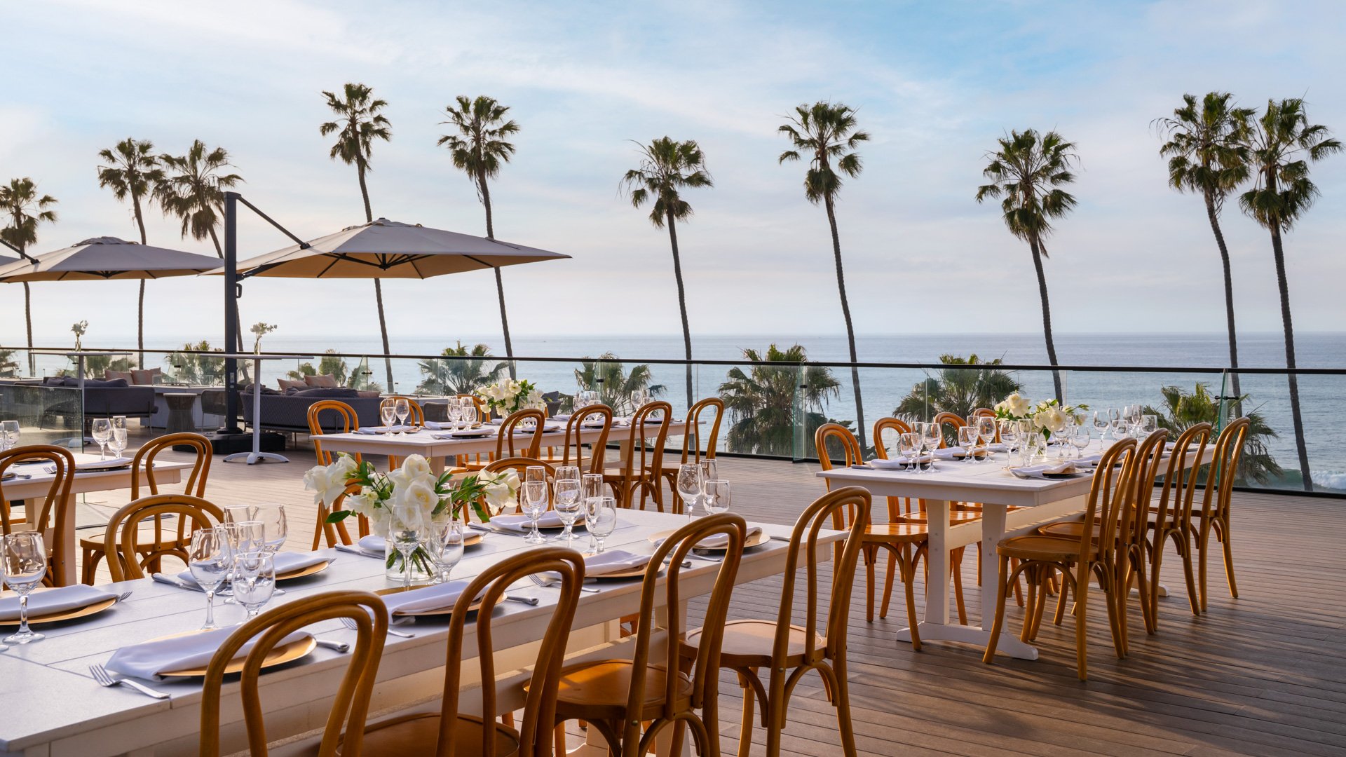 Sophisticated outdoor wedding reception dining with bentwood chairs, white linens, and iconic California palm trees at La Jolla Cove Rooftop wedding venue
