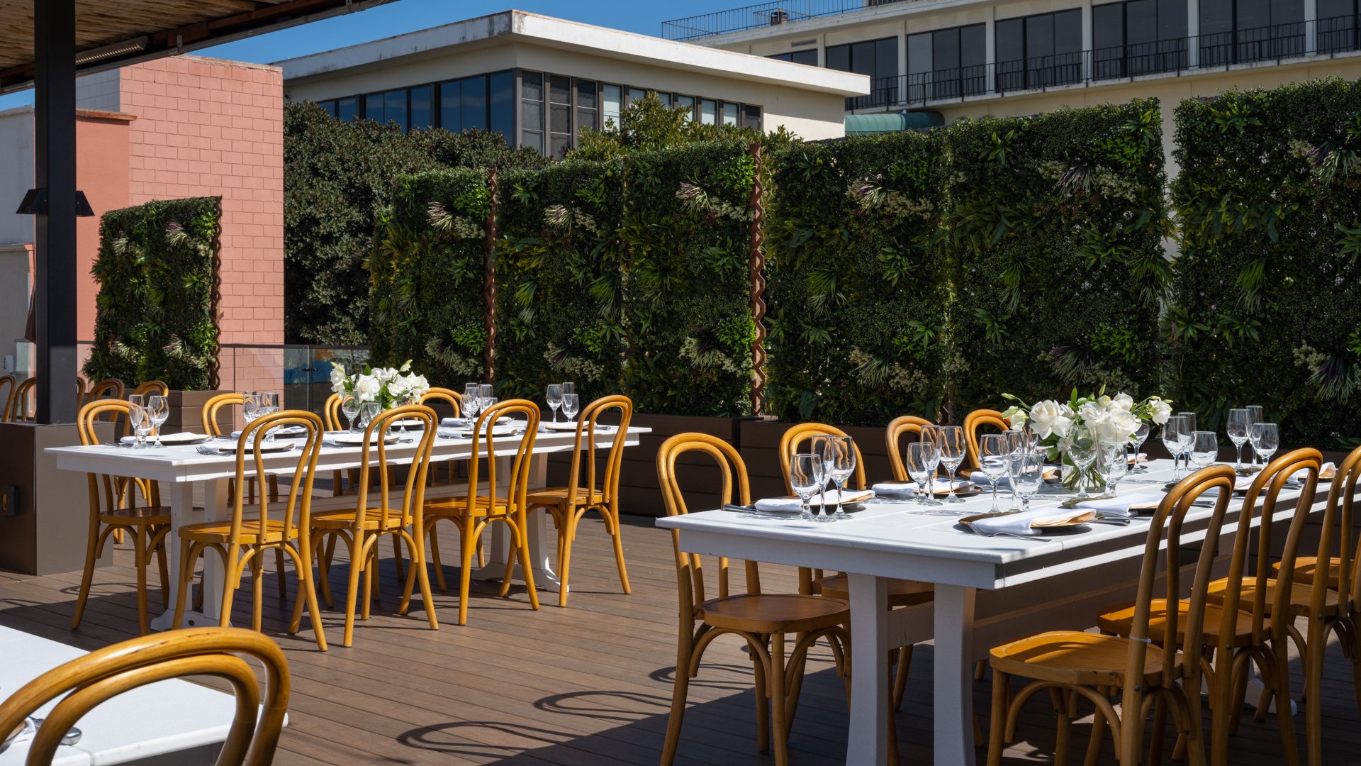 Intimate wedding reception tables with bentwood chairs, white linens, and lush living wall greenery at La Jolla Cove Rooftop by Wedgewood Weddings