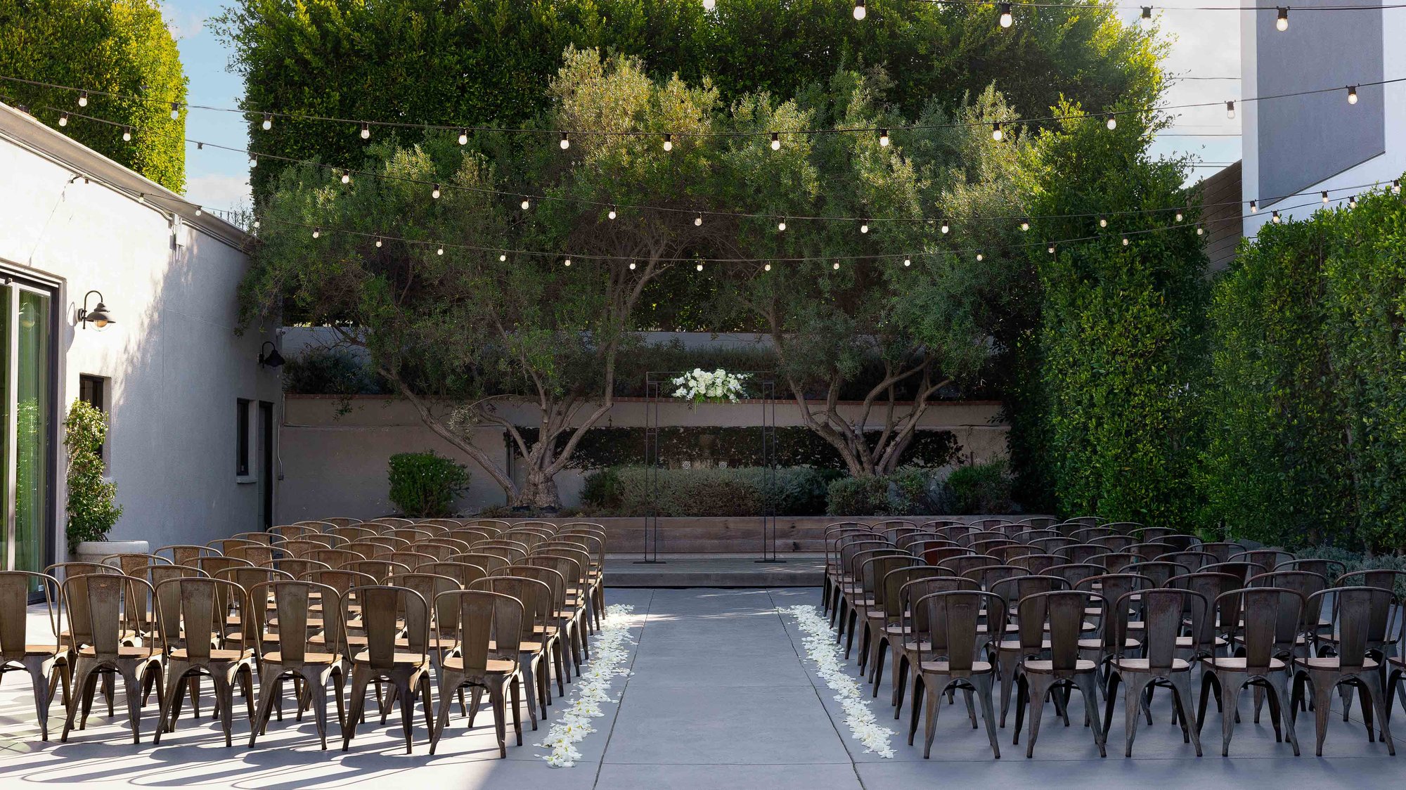 16 - The Harper - HARP - Olive Grove - Ceremony
