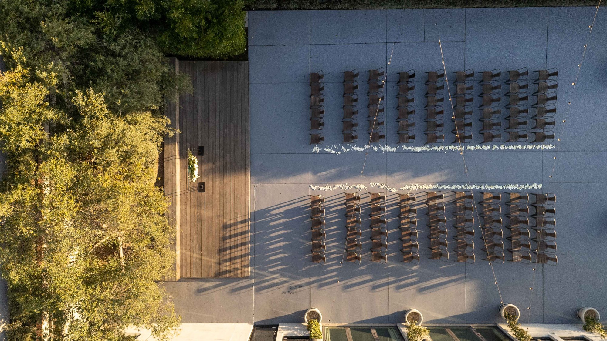 35 - The Harper - HARP - Olive Grove - Ceremony