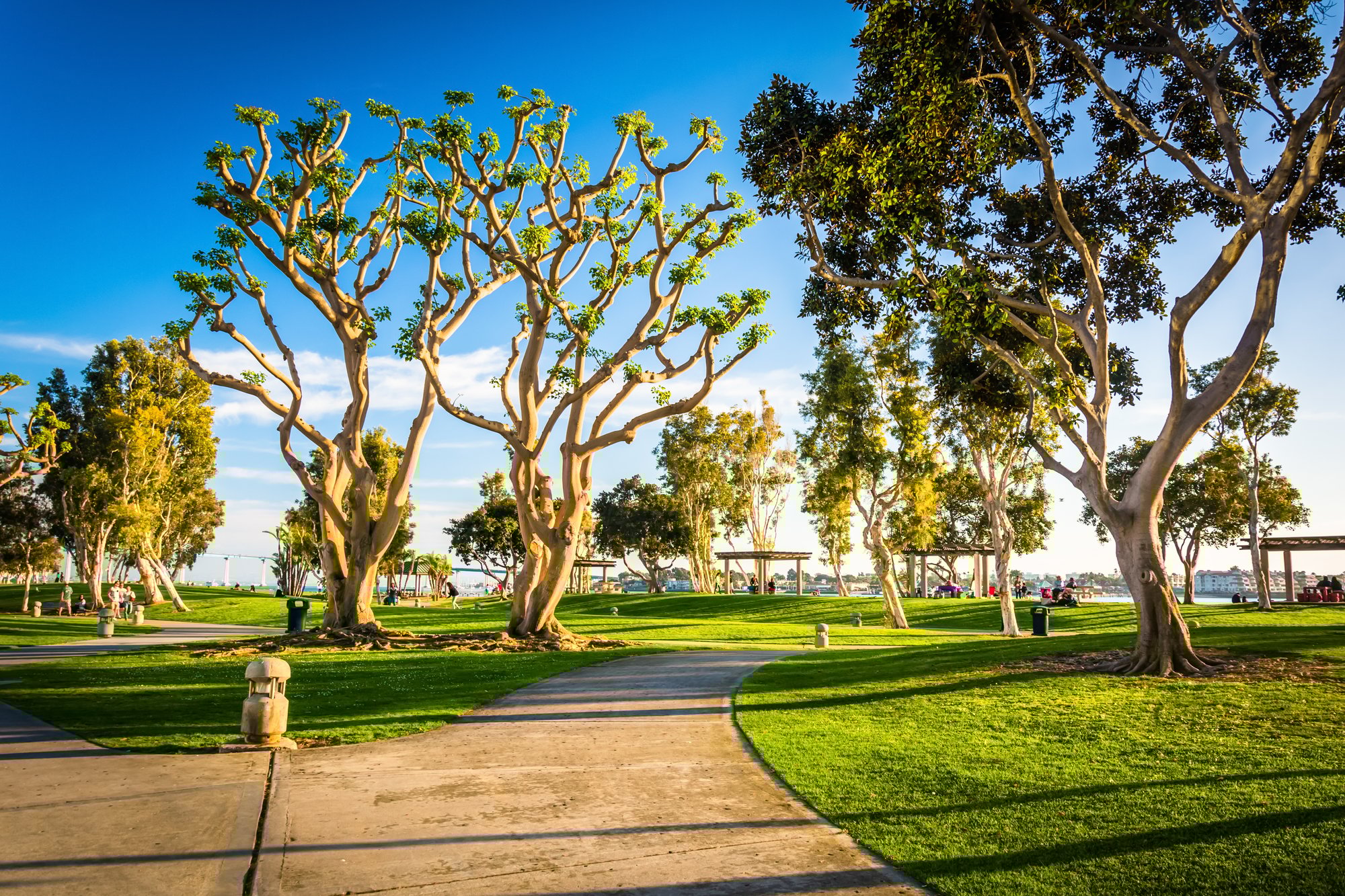 Embarcadero Marina in San Diego, CA